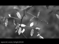 مرگ جاودانه