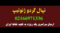 خرید درخت گردو کانادایی دیرگل 09123205271