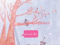 ایوان بند -تنگ شده دلم ...