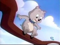 کارتون موش و گربه (تام و جری) 125