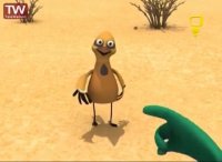 ماجراهای کوشا - زاغ کویر