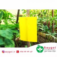 مگس کش غیر شیمیایی