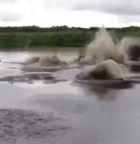 فرار اسب آبی