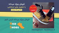فروشگا نایس شوز اولین فروشگاه اینترنتی کفش و کتونی