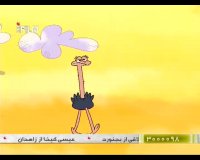 حیات وحش - شترمرغ ها