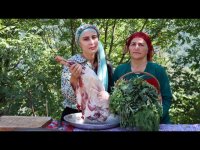 آشپزی در طبیعت ایران : خورشت قورمه سبزی