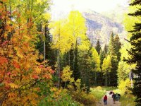 ایالت یوتا و رنگهای خارق العاده پاییزی آن | آمریکا