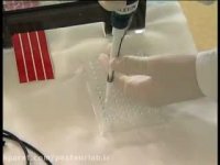 فیلم Gel Electrophoresis