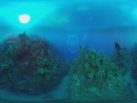 غواصی با عروس دریایی