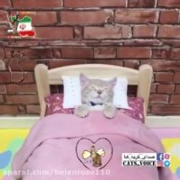 لالا كن دختر شبنم