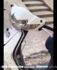 مارو ببینید کجا رفته قایم شده