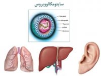 جلسه چهارم-مشاوره قبل از بارداری-آزمایشگاه پردیس مشهد