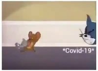 کاری که چین با دنیا کرد