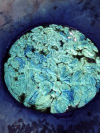 رنگرزی گیاهی با گیاه نیل