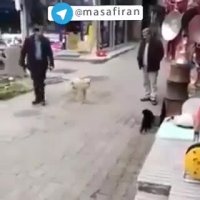 اینو از دست ندید*پاسخ ایران به تهدیدات و حرفای مفت آمریکا