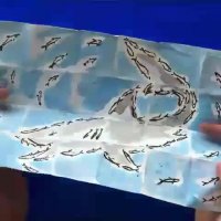 نقاشی کوسه با تا کردن