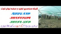 نهال به در اراک09123205271- خرید نهال - فروش نهال - قیمت نهال