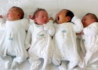 واگذاری زمین یا مسکن رایگان به خانواده های دارای 4 فرزند