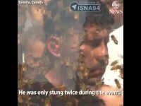 این مرد زنبوری نامش را در کتاب گینس ثبت کرد