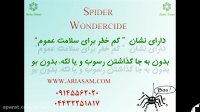 سم عنکبوت اسپایدر واندرساید