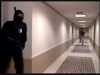 Revenge of The Ninja: Hunting Ninja