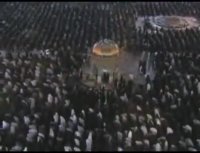 ولادت عشق - خیال کن که غزالم