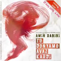 امین حبیبی - تو دنیامو عوض کردی