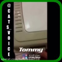 تامى(هنگام رانندگى مراقب غیر همنوعانمان باشیم )