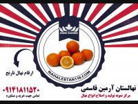 خرید نهال نارنج 09141811520