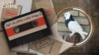 خاطرات قتل : راز پرونده جنایت بخاطر یک کبوتر !؟؟