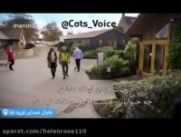 مستند گربه یا سگ ؟؟ كدام بهتر قسمت اول