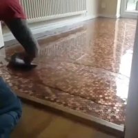 سکه برای کف پوش خانه