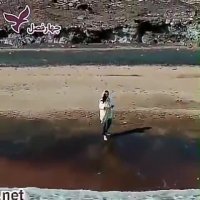 تور قشم:دیدنیهای قشم