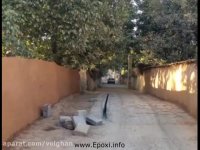 کاهگل مصنوعی مدرن کاهرنگ حکیمیان