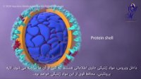 کرونا را جدی بگیریم