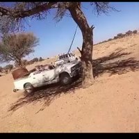 جا به جا کردن درخت به شیوه سنتی