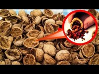 خواص بی نظیر پوست گردو