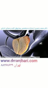فیلم سرطان پروستات