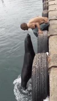 غذا دادن به فک قبل از این سوء تفاهم بود!