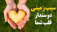 سیب زمینی دوستدار قلب شما