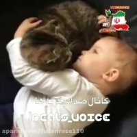 تمام مردم خارج از ایران بچه هایشان با گربه زندگى میكنند