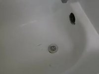 خدمات لوله بازکنی قیطریه ارزان رعایت بهداشت 〽️