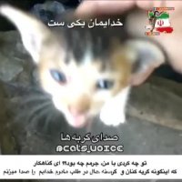 التماس طفل شیرخواره اى كه مادرش را از خداى خود میخواهد