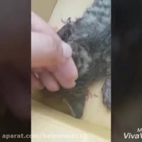 تنها با چند لحظه مكث مراقب باشیدتاباعث جنایت وقتل نشوید