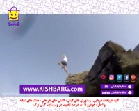 لاکچری ترین تفریح کیش،پرش از صخره در کیش،هیجان پرش از صخره