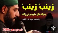 زینب زینب کنز حیا زینب , مجید بنی فاطمه (به یاد استاد سلیم موذن زاده)
