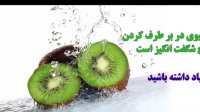 خواص و مضرات کیوی