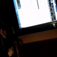 اهنگ جدید NZS2به نام مگه نمی بینی