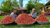 آشپزی روستایی آذربایجان - مارمالاد با توت فرنگی تازه و شیرینی خوشمزه