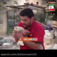 حامى حیوانات در سوریه